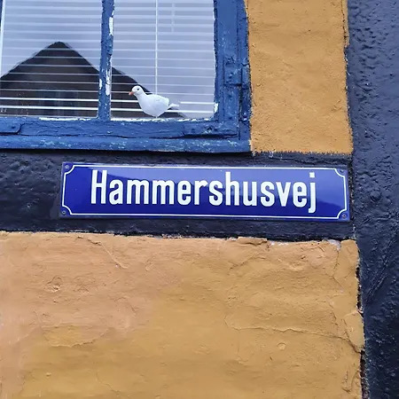 Sandvighus *
